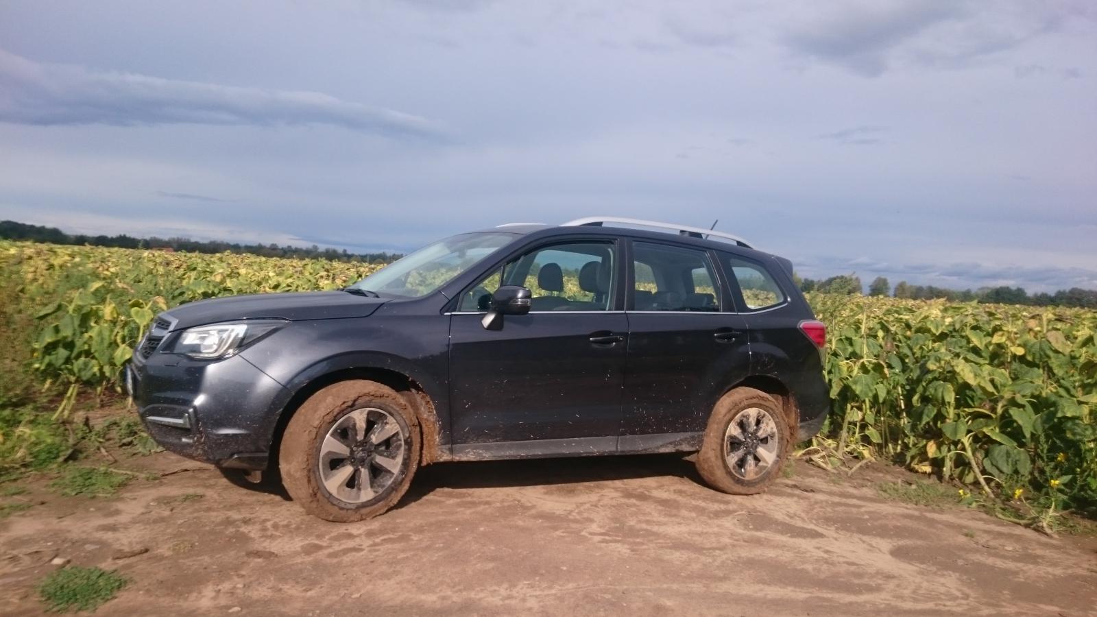 P0171 subaru forester sj